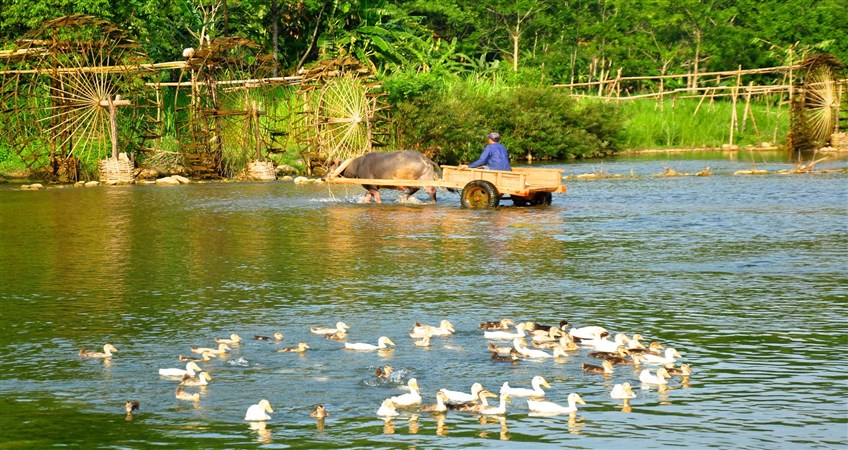 Pu luong natural reserve